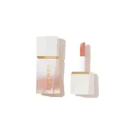 هایلایتر مایع شیگلم